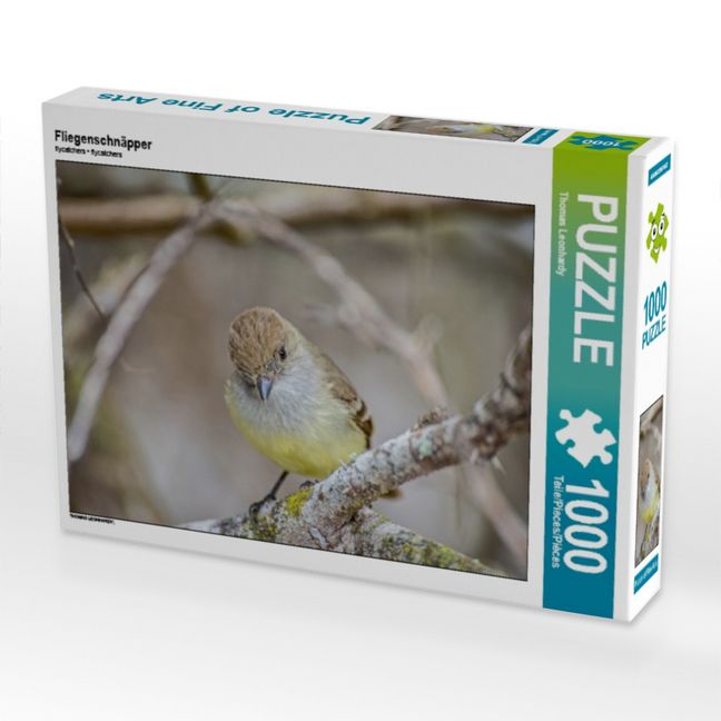Produktbild: CALVENDO Puzzle Fliegenschn&auml;pper | 1000 Teile Lege-Gr&ouml;&szlig;e 64x48cm Foto-Puzzle f&uuml;r gl&uuml;ckliche Stunden
