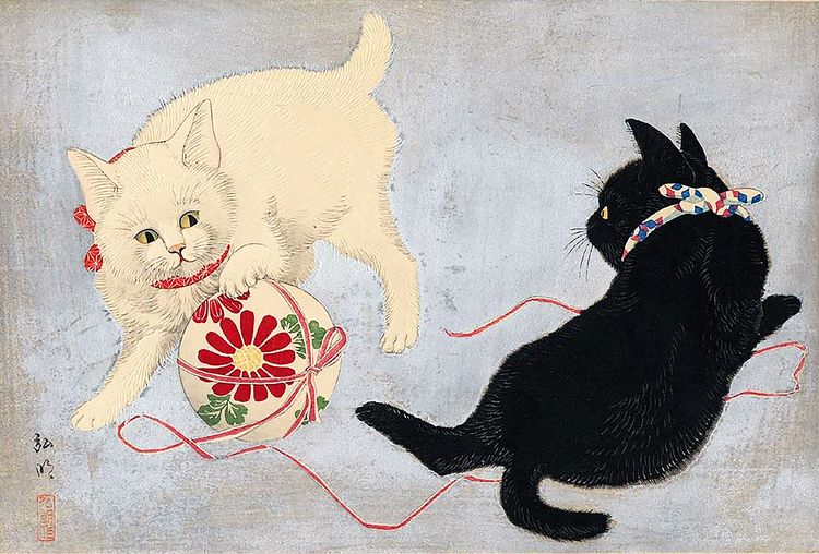 Produktbild: Katzen