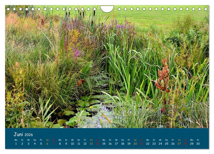 Produktbild: Naturschutzgebiet W&uuml;mme (Wandkalender 2026 DIN A4 quer), CALVENDO Monatskalender