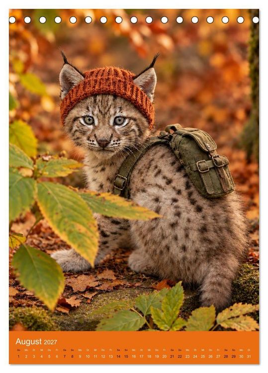 Produktbild: Goldener Herbst Eine tierische Fantasiewelt (Tischkalender 2027 DIN A5 hoch), CALVENDO Monatskalender