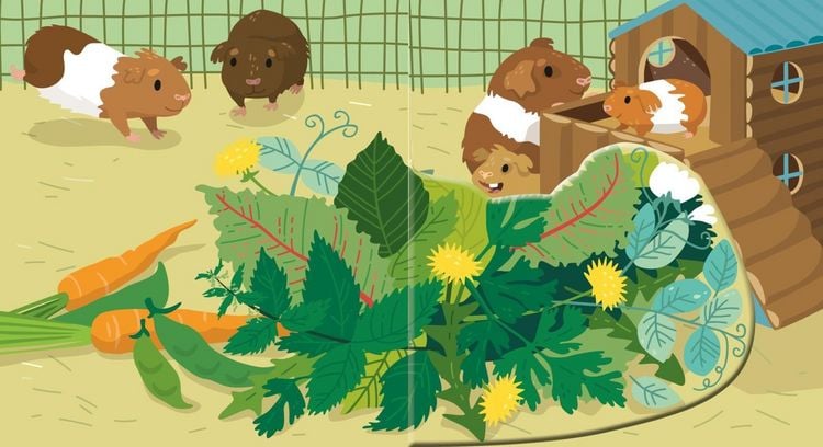 Produktbild: Baby Pixi (unkaputtbar) 189: Flippediflapp: Tiere bei uns zu Hause