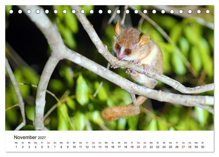 Produktbild: Blickpunkte auf Madagaskar (Tischkalender 2027 DIN A5 quer), CALVENDO Monatskalender