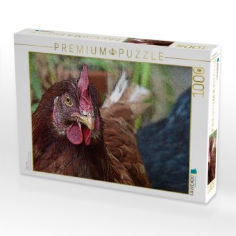 Produktbild: CALVENDO Puzzle Aug in Aug | 1000 Teile Lege-Gr&ouml;&szlig;e 64x48cm Foto-Puzzle f&uuml;r gl&uuml;ckliche Stunden