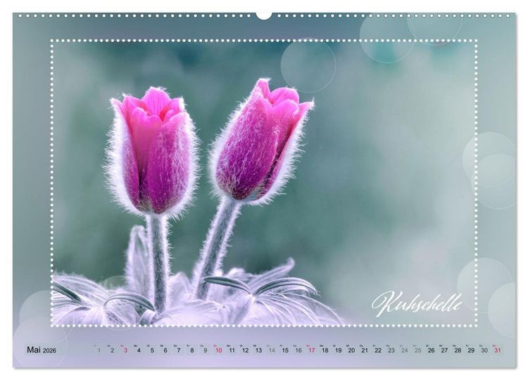 Produktbild: Bl&uuml;tenbouquet (Wandkalender 2026 DIN A2 quer), CALVENDO Monatskalender
