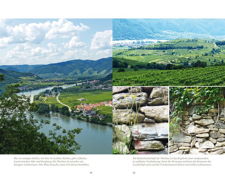 Produktbild: Wachau