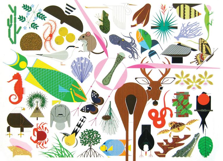 Produktbild: Charley Harper's Animal Kingdom