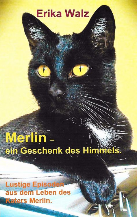 Produktbild: Merlin - ein Geschenk des Himmels.