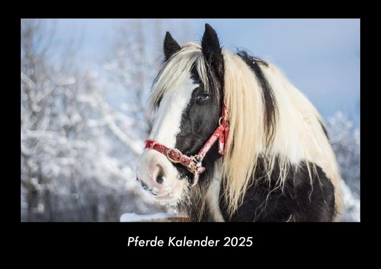 Produktbild: Pferde Kalender 2025 Fotokalender DIN A3