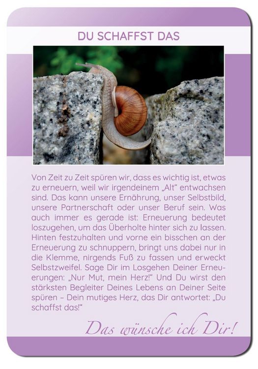 Produktbild: Das w&uuml;nsche ich Dir | 62 Achtsamkeitskarten | Lebensweisheiten, Coaching & Empowerment | sch&ouml;ne Geschenkidee