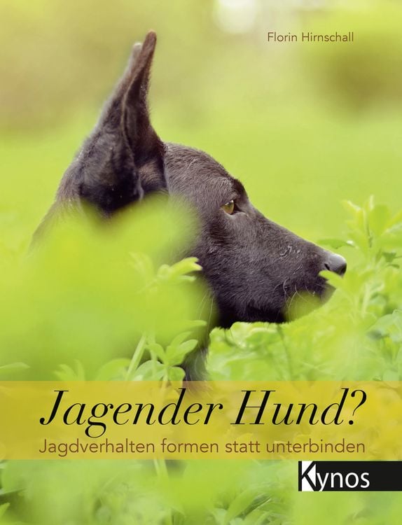 Produktbild: Jagender Hund?