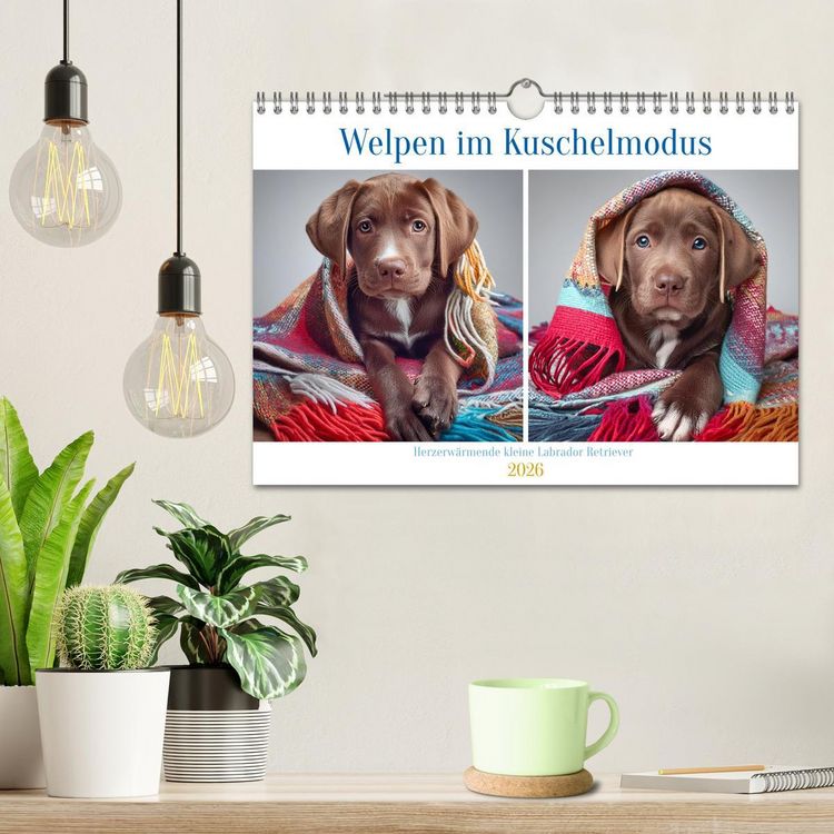 Produktbild: Welpen im Kuschelmodus - Herzerw&auml;rmende kleine Labrador Retriever (Wandkalender 2026 DIN A4 quer), CALVENDO Monatskalender