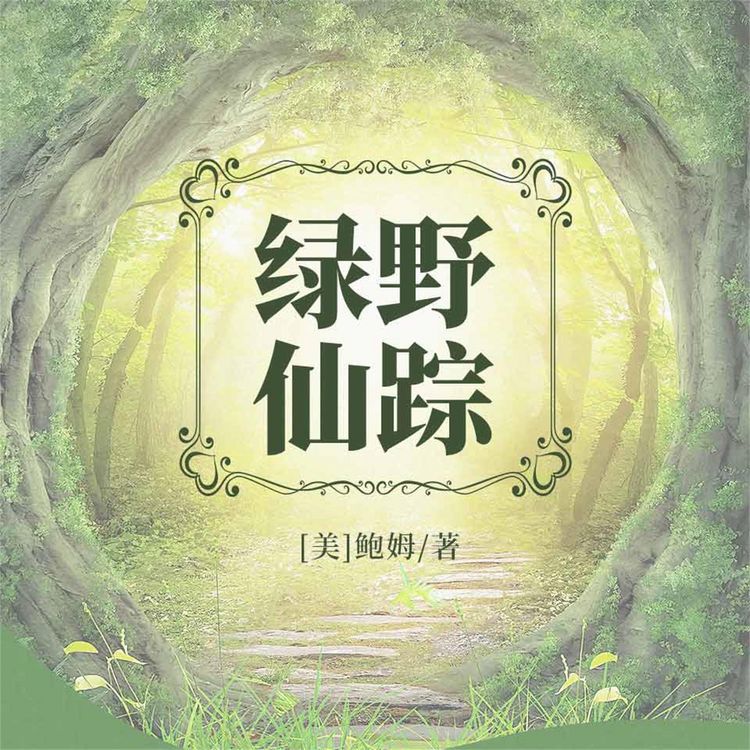 Produktbild: 绿野仙踪
