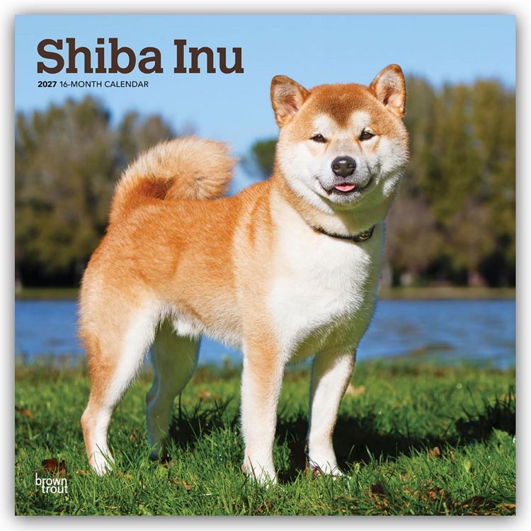 Produktbild: Shiba Inu &ndash; Shiba 2027 &ndash; 16-Monatskalender