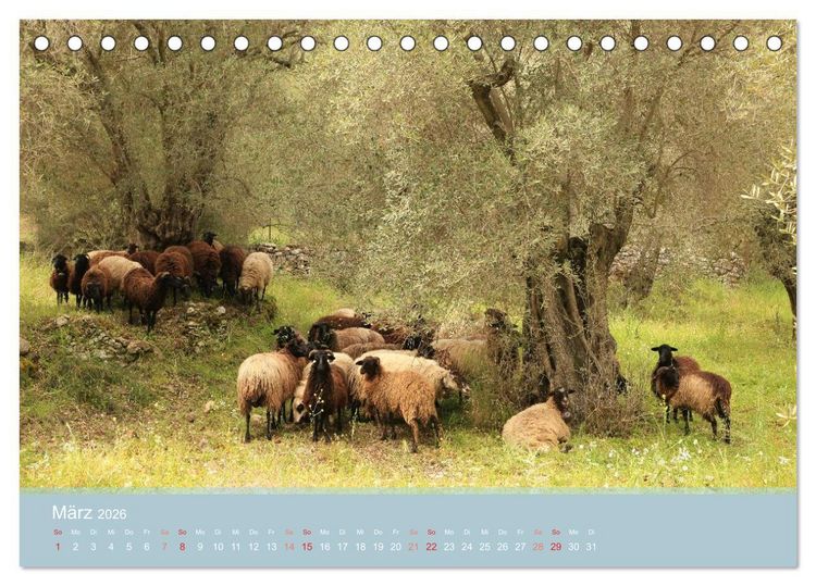 Produktbild: Lesbos - Inselimpressionen (Tischkalender 2026 DIN A5 quer), CALVENDO Monatskalender