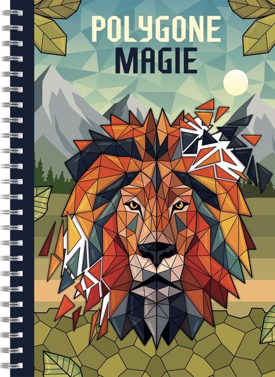 Produktbild: Polygone Magie