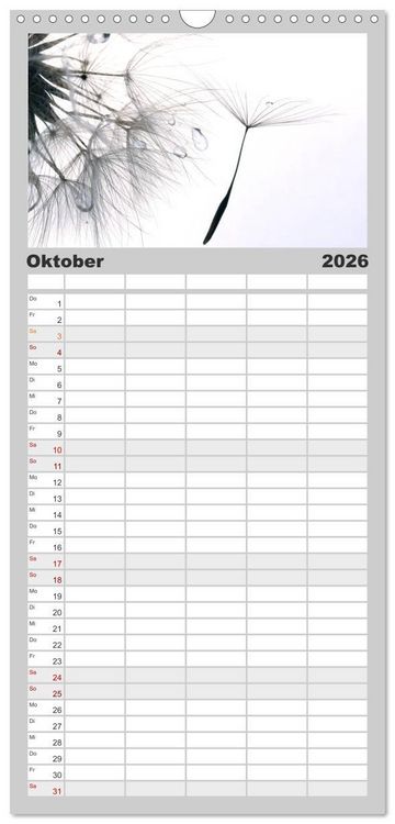 Produktbild: Familienplaner 2026 - Filigrane Pusteblumen / Geburtstagskalender mit 5 Spalten (Wandkalender, 21 x 45 cm) CALVENDO