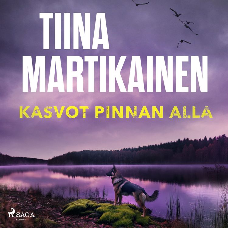 Produktbild: Kasvot pinnan alla