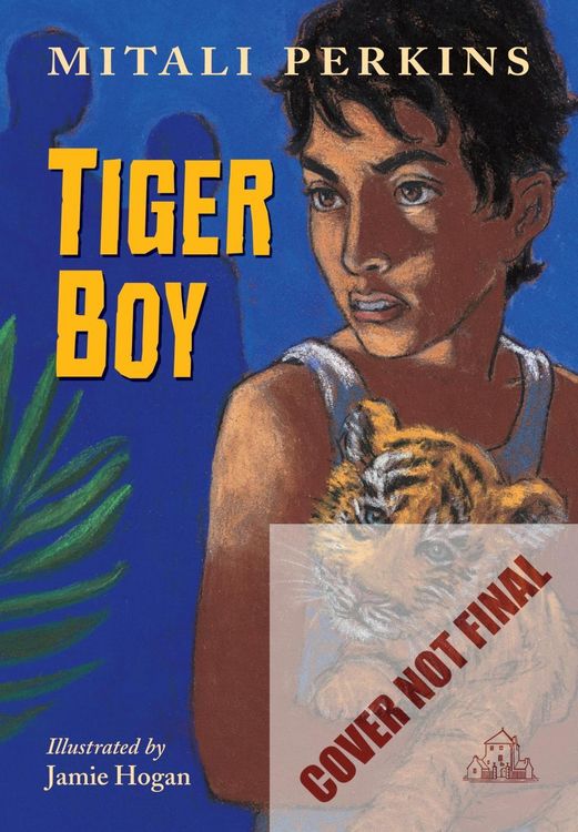 Produktbild: Tiger Boy