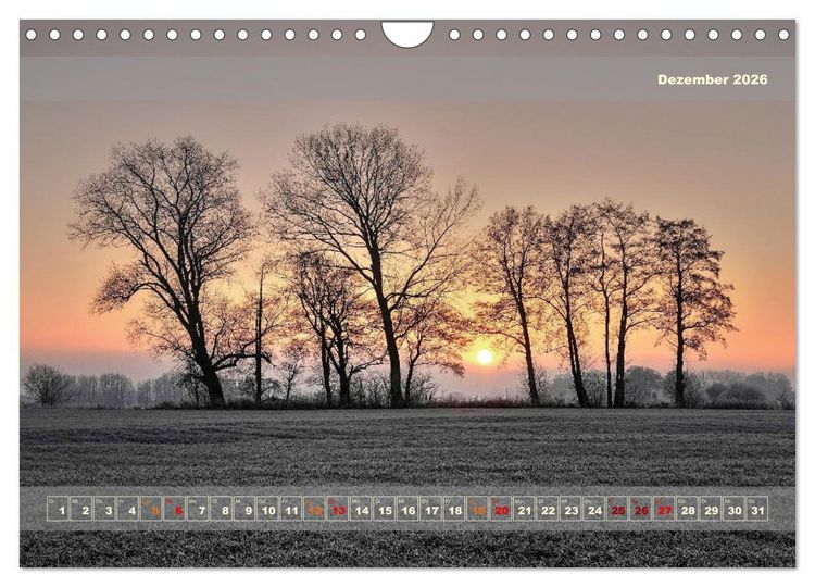 Produktbild: Licht im Land (Wandkalender 2026 DIN A4 quer), CALVENDO Monatskalender