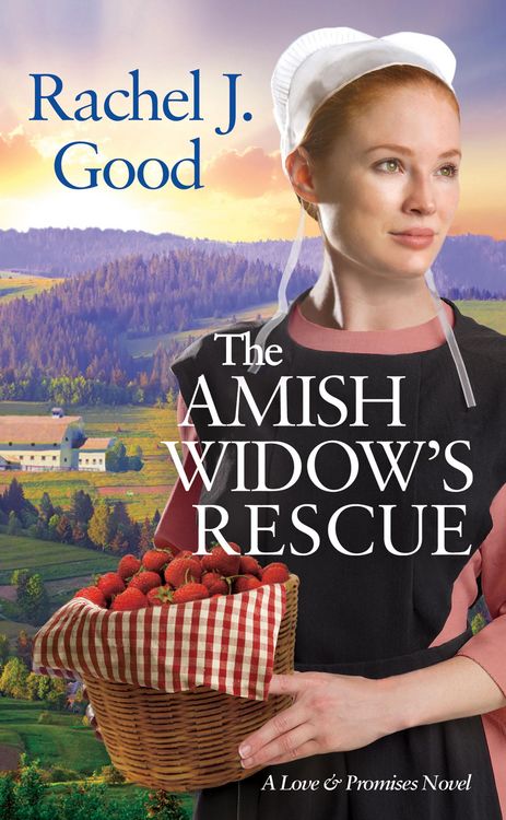 Produktbild: The Amish Widow's Rescue