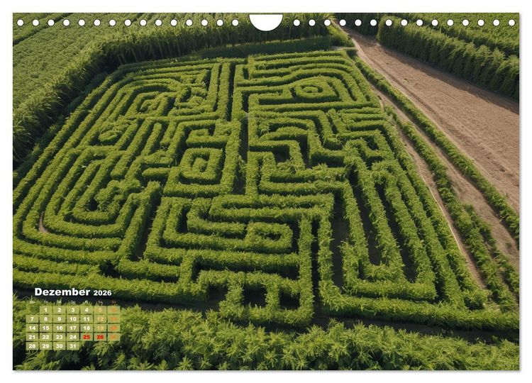 Produktbild: Wundersch&ouml;ne Cannabisfelder (Wandkalender 2026 DIN A4 quer), CALVENDO Monatskalender