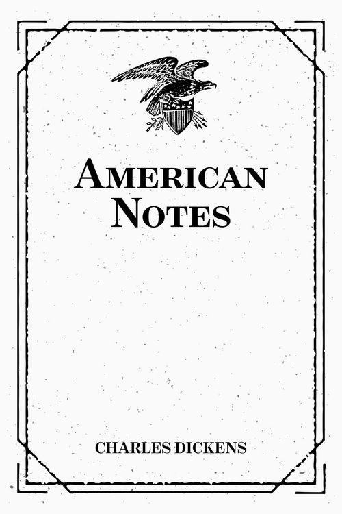 Produktbild: American Notes