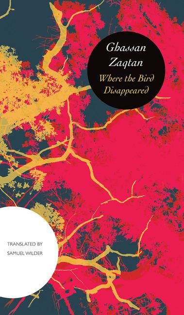 Produktbild: Where the Bird Disappeared