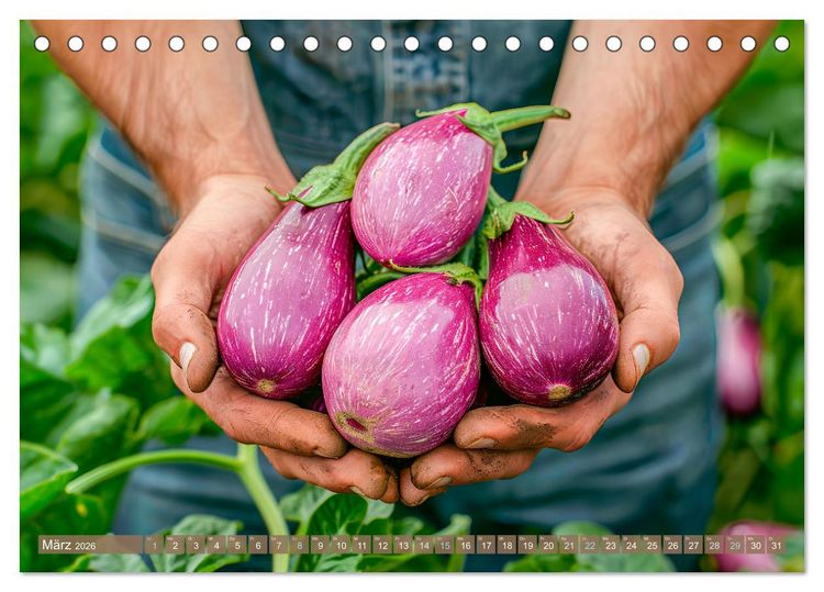 Produktbild: Mein Gem&uuml;segarten - Ein Jahr knackig frisches Gem&uuml;se (Tischkalender 2026 DIN A5 quer), CALVENDO Monatskalender