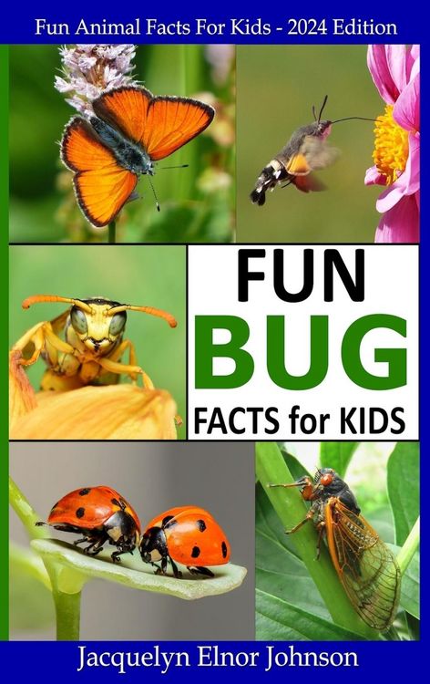 Produktbild: Fun Bug Facts for Kids