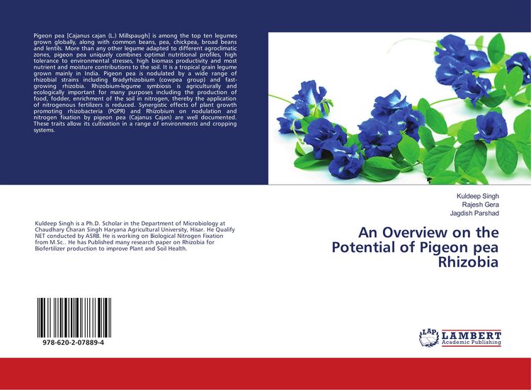 Produktbild: An Overview on the Potential of Pigeon pea Rhizobia