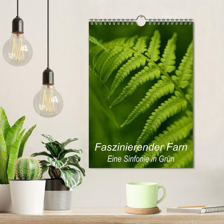 Produktbild: Faszinierender Farn - Eine Sinfonie in Gr&uuml;n (Wandkalender 2026 DIN A4 hoch), CALVENDO Monatskalender