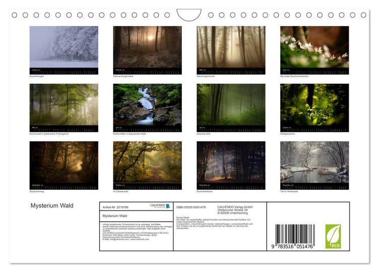 Produktbild: Mysterium Wald (Wandkalender 2026 DIN A4 quer), CALVENDO Monatskalender
