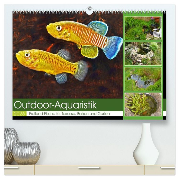 Produktbild: Outdoor-Aquaristik (hochwertiger Premium Wandkalender 2026 DIN A2 quer), Kunstdruck in Hochglanz
