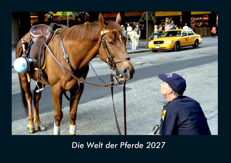 Produktbild: Die Welt der Pferde 2027 Fotokalender DIN A4