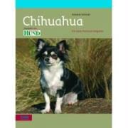 Produktbild: Chihuahua