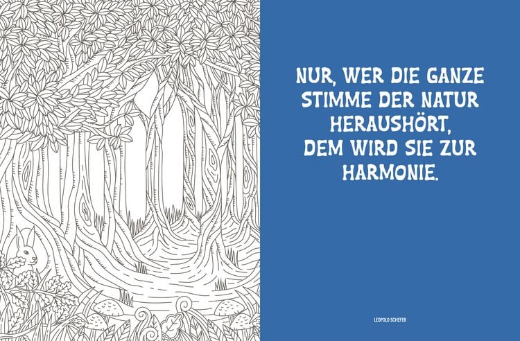 Produktbild: Colorful Mandala &ndash; Mandala &ndash; Spaziergang durch die Natur