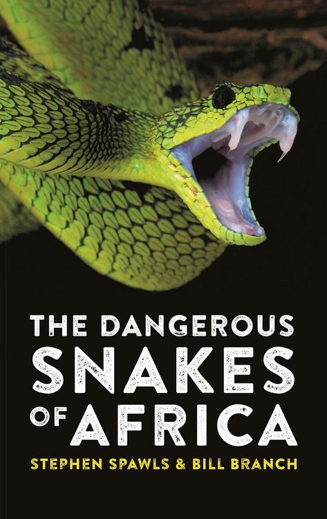 Produktbild: The Dangerous Snakes of Africa