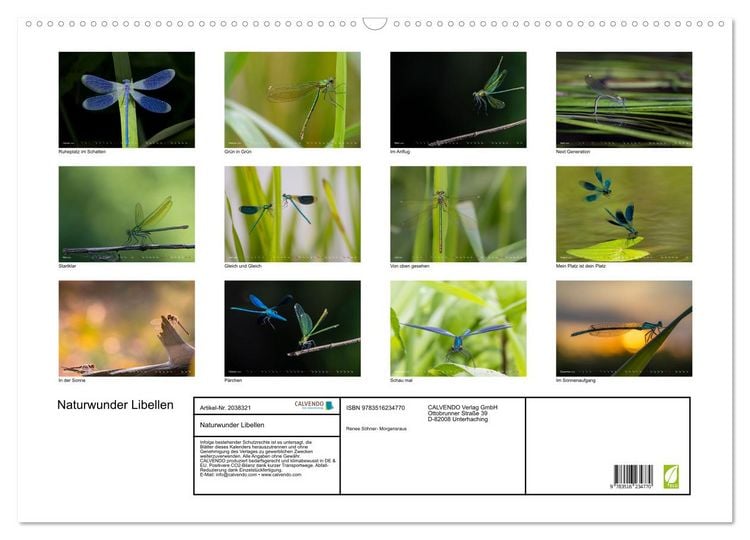 Produktbild: Naturwunder Libellen (Wandkalender 2026 DIN A2 quer), CALVENDO Monatskalender