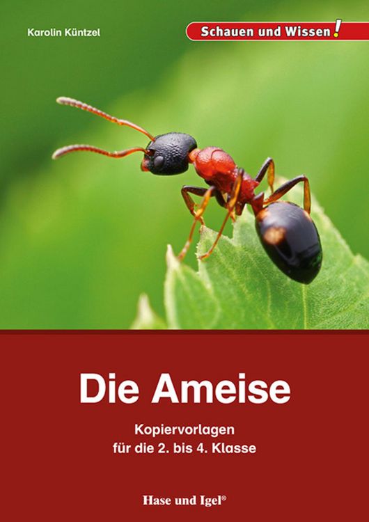 Produktbild: Die Ameise &ndash; Kopiervorlagen f&uuml;r die 2. bis 4. Klasse