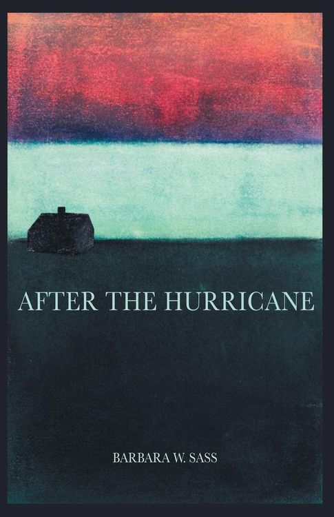 Produktbild: After The Hurricane