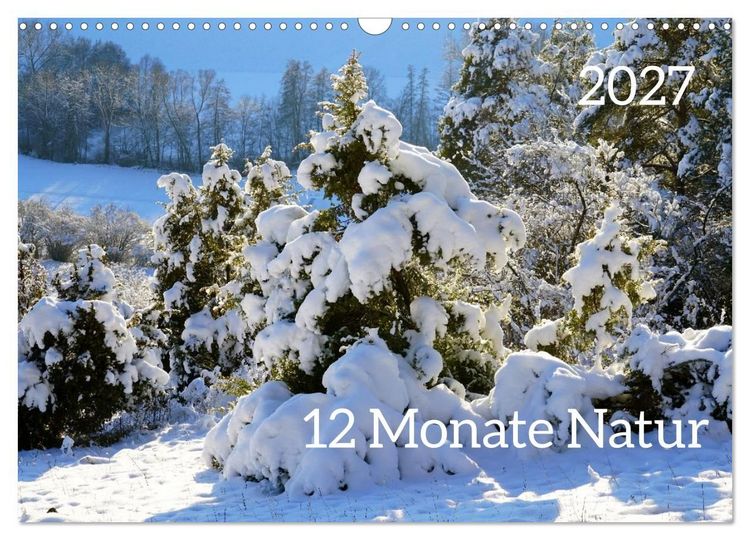 Produktbild: 12 Monate Natur (Wandkalender 2027 DIN A3 quer), CALVENDO Monatskalender