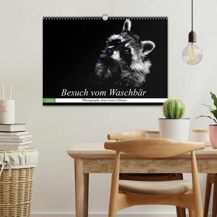 Produktbild: Besuch vom Waschb&auml;r (Wandkalender 2026 DIN A3 quer), CALVENDO Monatskalender