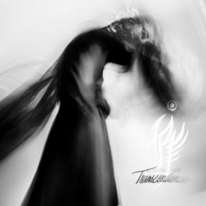 Produktbild: Looking For Transcendence