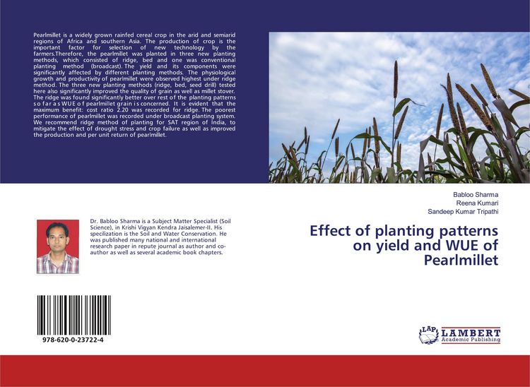 Produktbild: Effect of planting patterns on yield and WUE of Pearlmillet