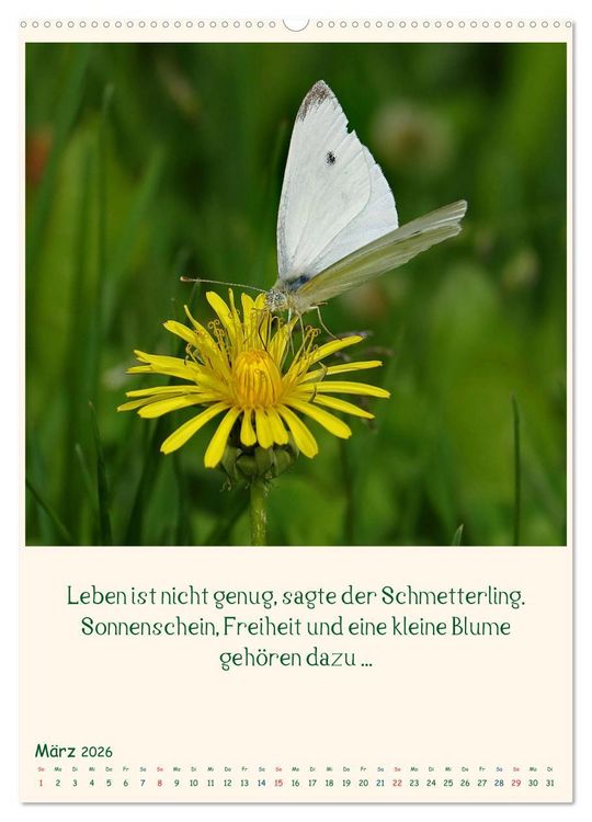 Produktbild: Mit Blumen durchs Jahr (hochwertiger Premium Wandkalender 2026 DIN A2 hoch), Kunstdruck in Hochglanz