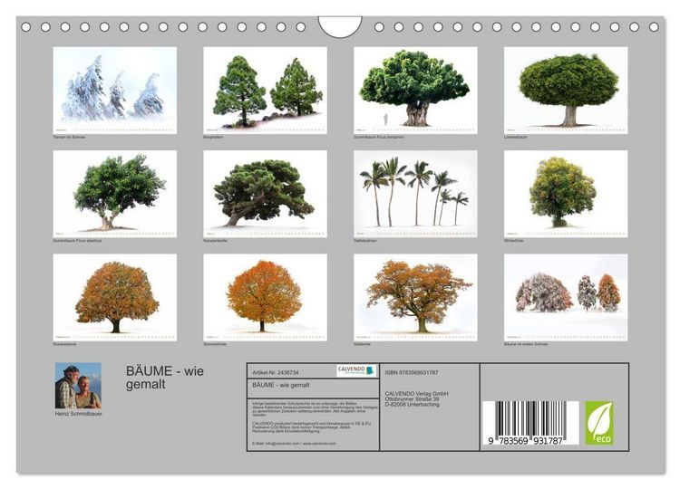 Produktbild: B&Auml;UME - wie gemalt (Wandkalender 2027 DIN A4 quer), CALVENDO Monatskalender