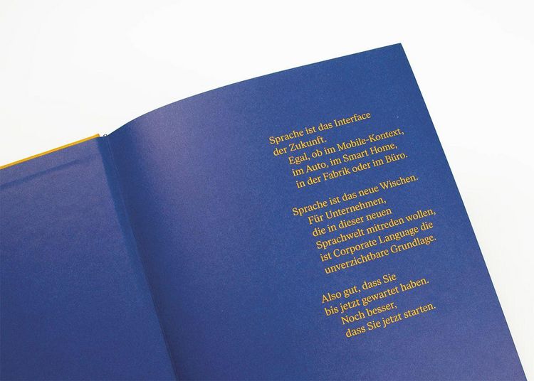 Produktbild: Corporate Language das Praxisbuch