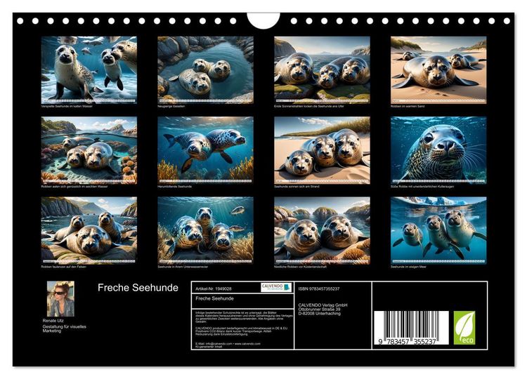 Produktbild: Freche Seehunde (Wandkalender 2026 DIN A4 quer), CALVENDO Monatskalender