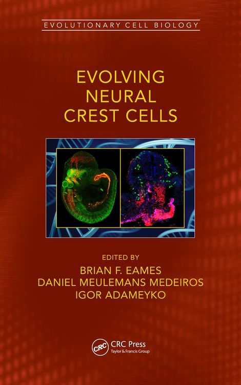 Produktbild: Evolving Neural Crest Cells