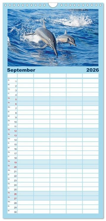 Produktbild: Familienplaner 2026 - Delfine: Elegante Wellenreiter mit 5 Spalten (Wandkalender, 21 x 45 cm) CALVENDO